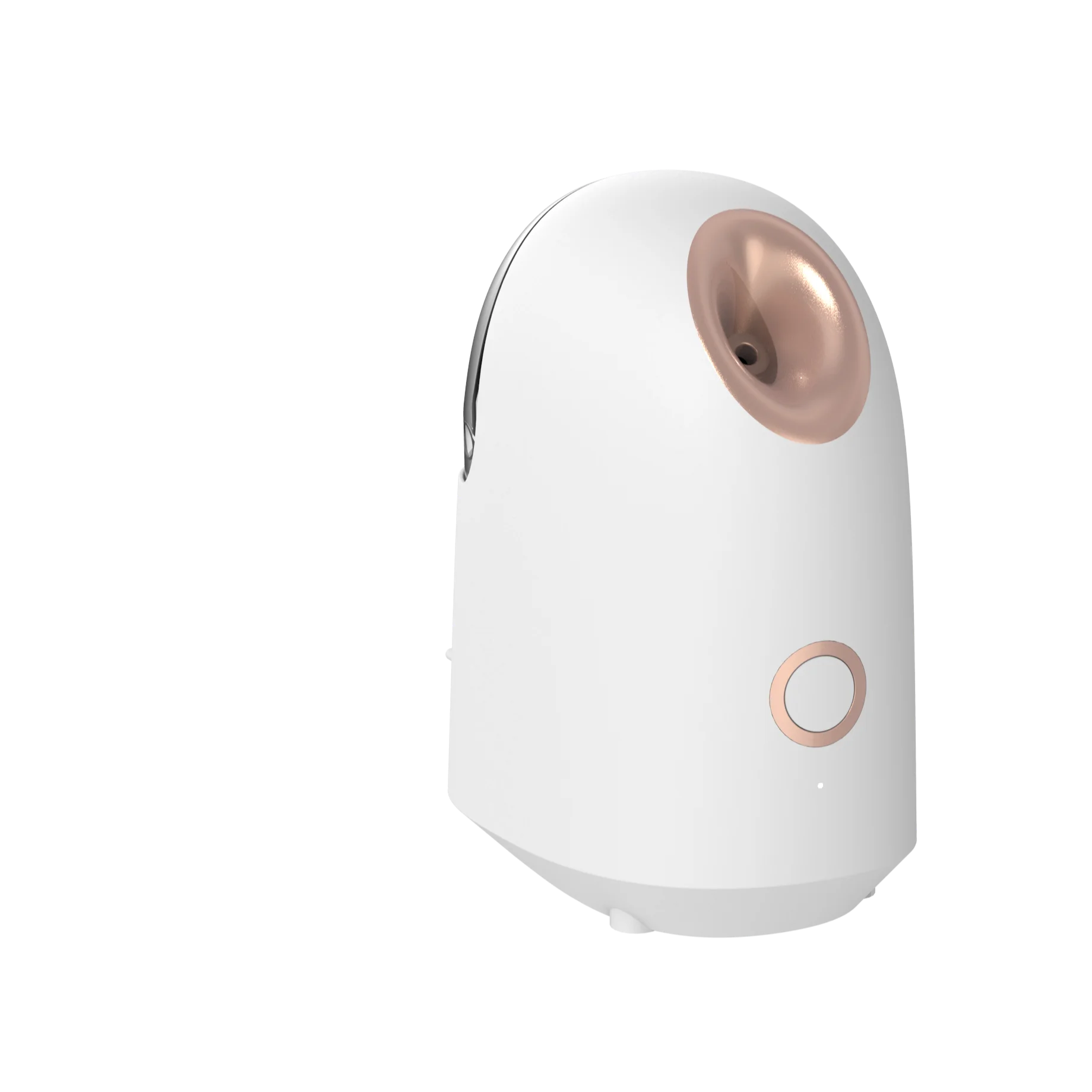 Eu Us in Stock Mobile Facial Steamer Professional Facial Beauty Steamer Ozone Steamer for Facials