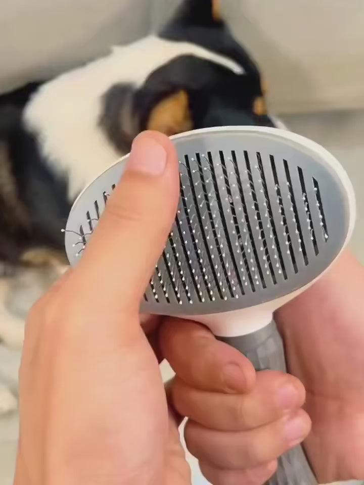 Professional Self-Cleaning Pet Grooming Brush