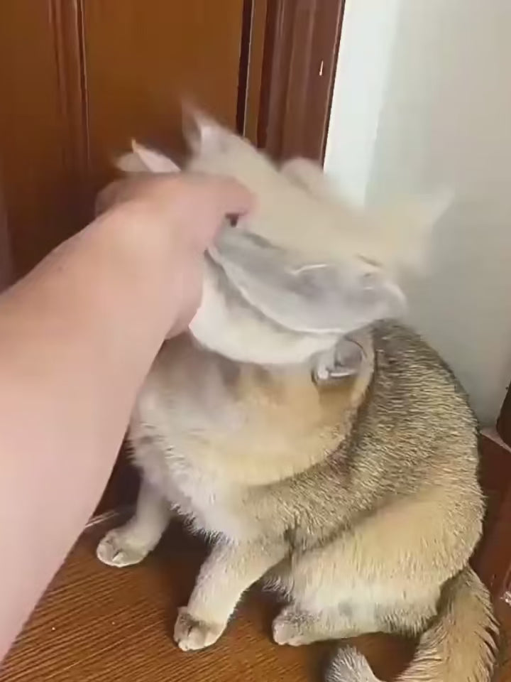 Professional Pet Grooming & Deshedding Glove